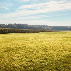 Meet your Posher, Joy